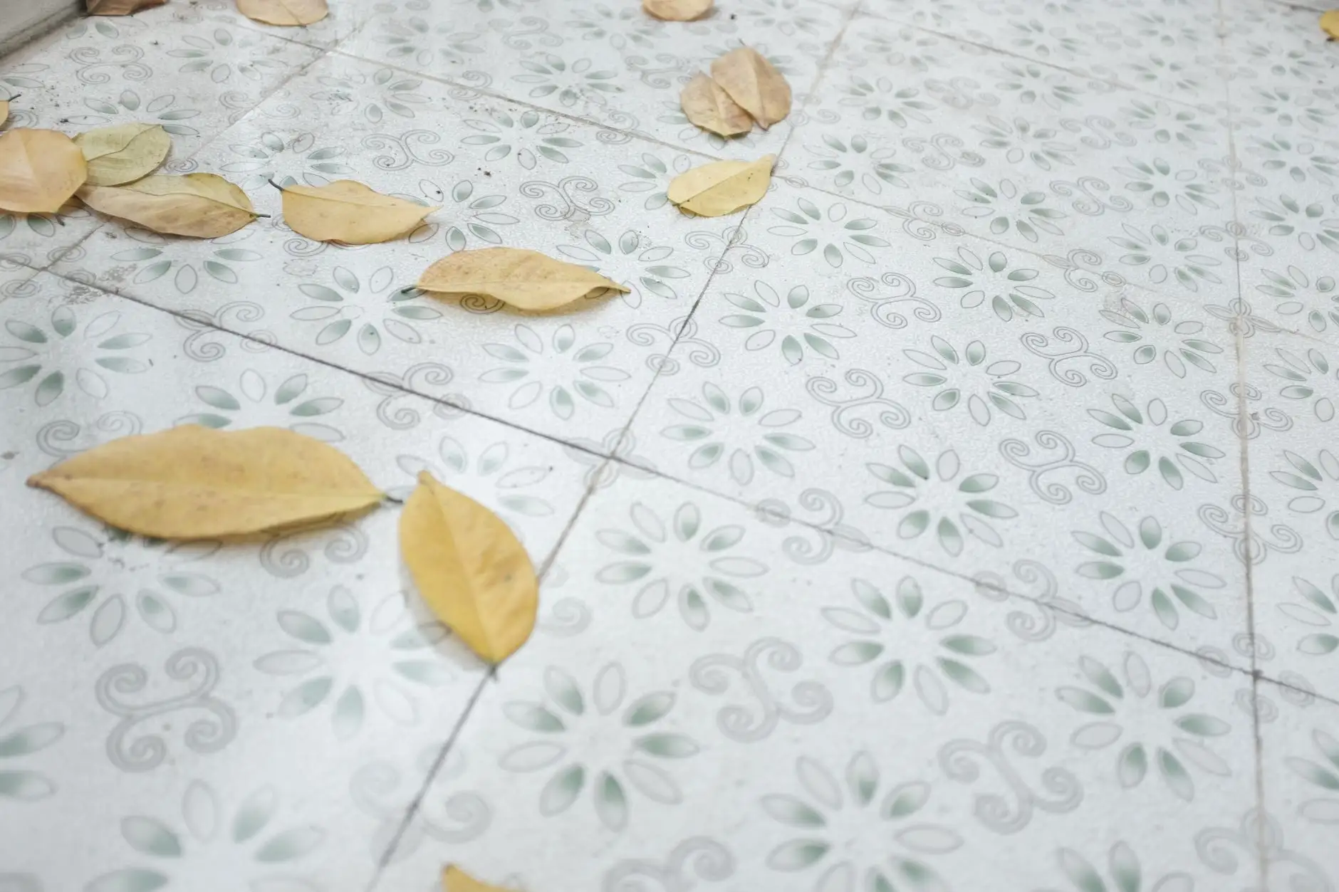 硒鼓与墨盒选用指南：如何为不同打印设备匹配耗材