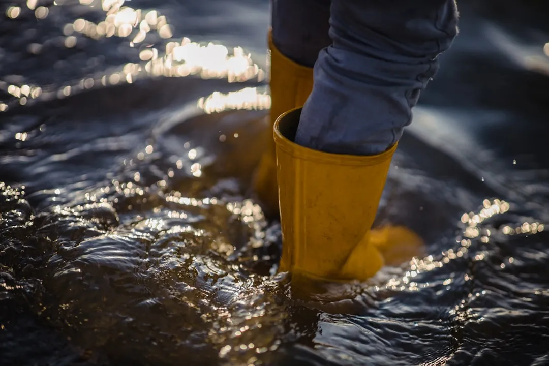 呼和浩特打印纸与复印纸批发：规格参数对比与选购建议